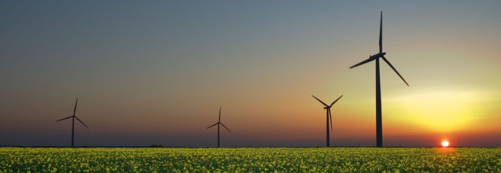 Photo of windmills out in an open field, energy savings